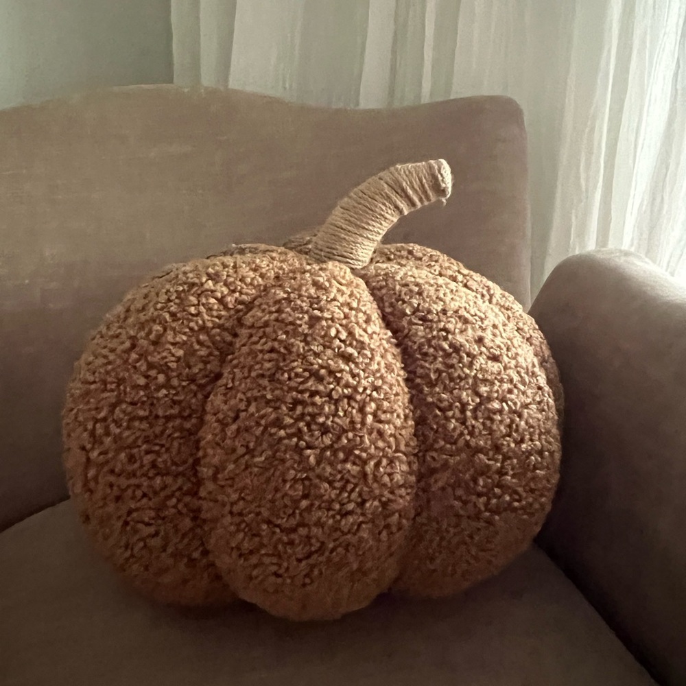 Pottery Barn Cozy Pumpkin Sherpa Pillow Tobacco tan large